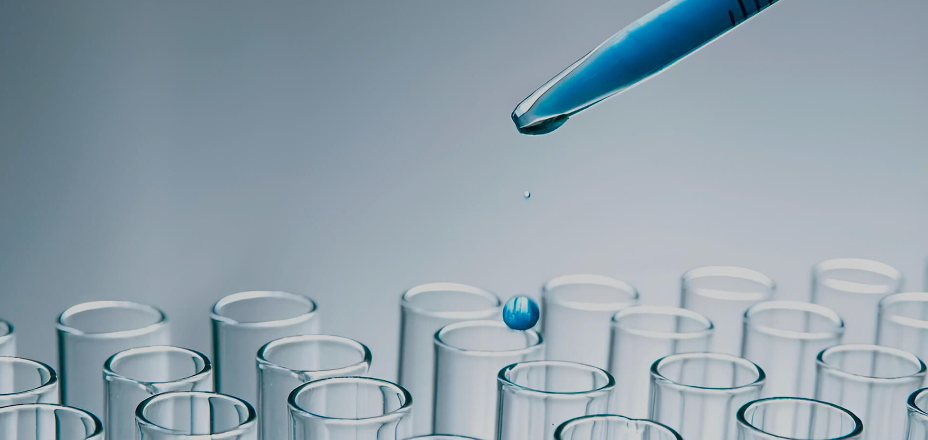 Let's Change The World With Humanity