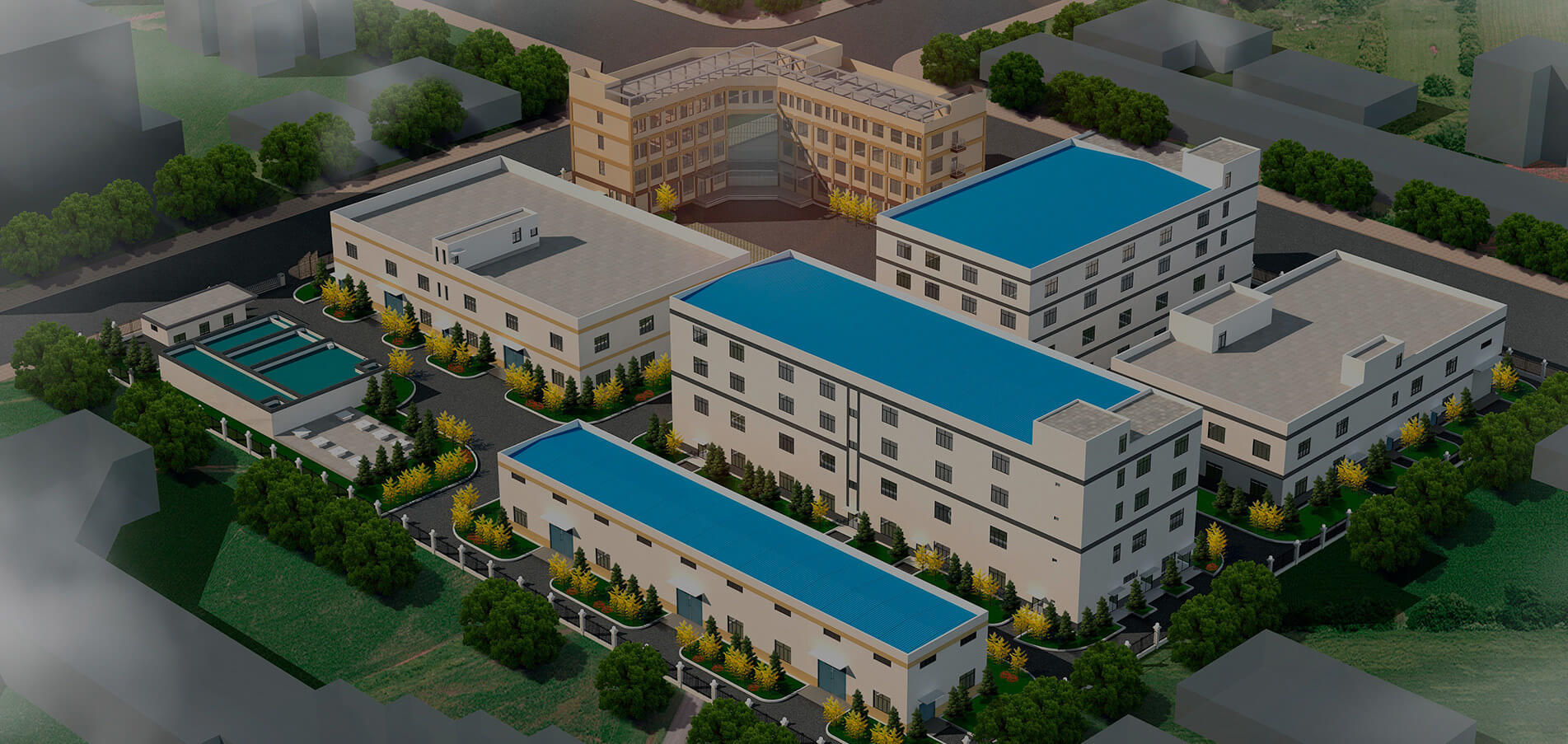 Let's Save More Lifes With Our Helping Hand